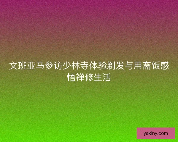 文班亚马参访少林寺体验剃发与用斋饭感悟禅修生活